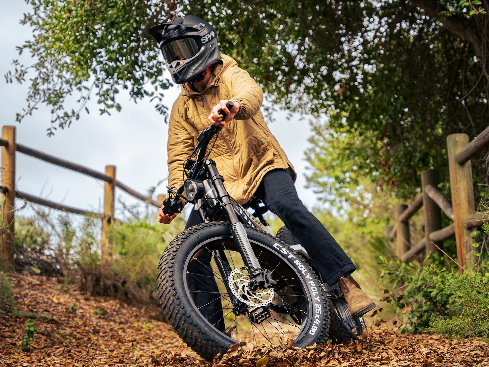 Himiway D7 Pro Electric Mountain Bike 1000W 160Nm Torque