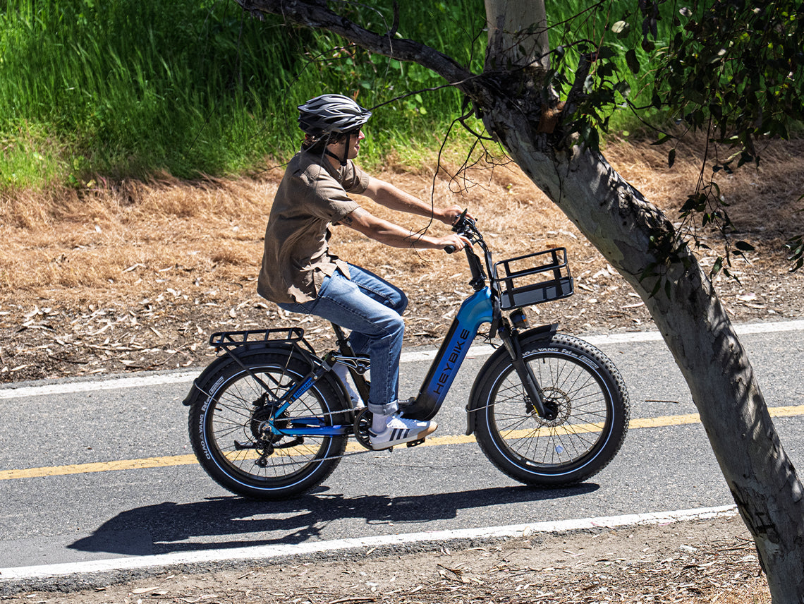 Heybike Horizon 24-Inch Fat Tire Folding Electric Bike 750W
