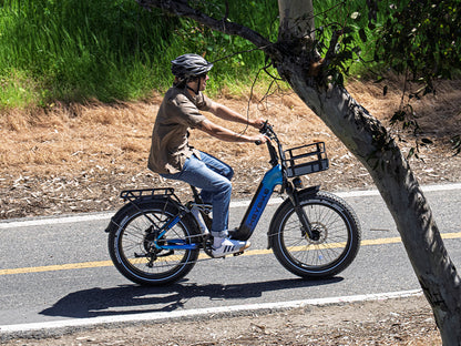 Heybike Horizon 24-Inch Fat Tire Folding Electric Bike 750W