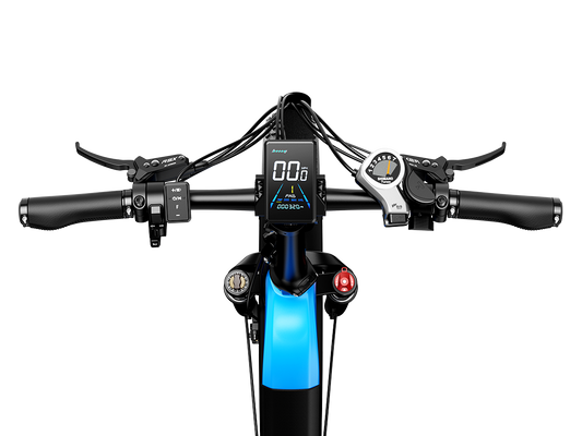 Heybike Horizon 24-Inch Fat Tire Folding Electric Bike 750W