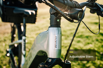 Aventon Level 3 Step-Through Electric Commuter Bike, Multi-Terrain