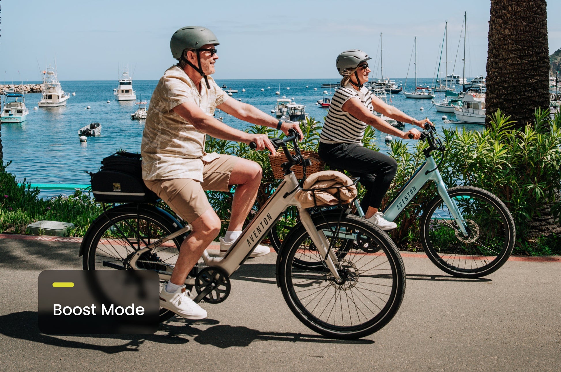 Aventon Pace 4 Step-Through Electric Cruiser Bike 500W