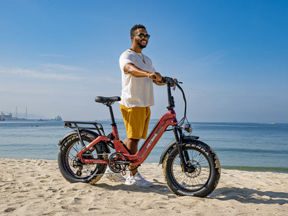 Heybike Ranger 3.0 Pro Folding Fat-tire Electric Bike 750W