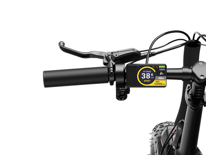 Heybike Ranger 3.0 Pro Folding Fat-tire Electric Bike 750W