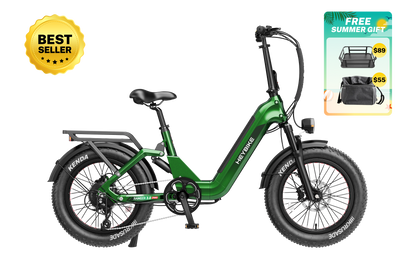 Heybike Ranger 3.0 Pro Folding Fat-tire Electric Bike 750W