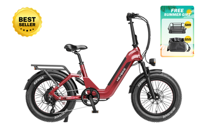 Heybike Ranger 3.0 Pro Folding Fat-tire Electric Bike 750W