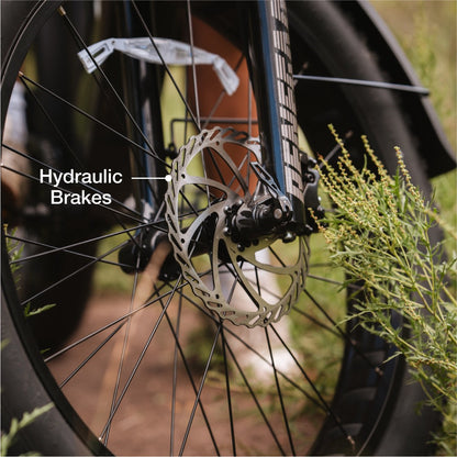 Lectric eBikes XPeak 2.0 Step-Thru Electric Mountain Bike