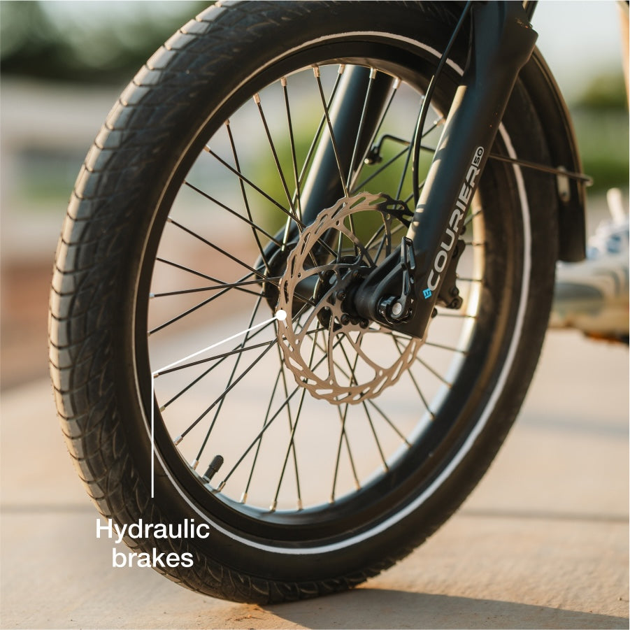 Lectric eBikes XPedition 2.0 Long-Range Dual-Battery Cargo eBike