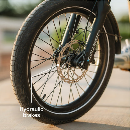 Lectric eBikes XPedition 2.0 Long-Range Dual-Battery Cargo eBike