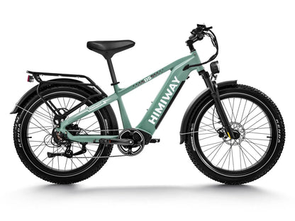 Himiway D5 Zebra All-Terrain Electric Fat Bike 750W