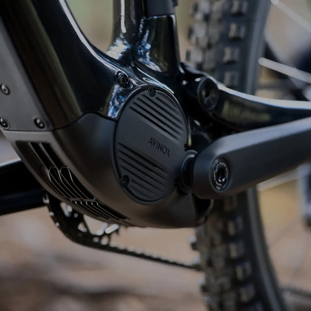 Amflow PL Carbon Electric Mountain Bike
