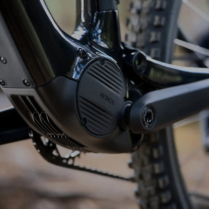 Amflow PL Carbon Electric Mountain Bike
