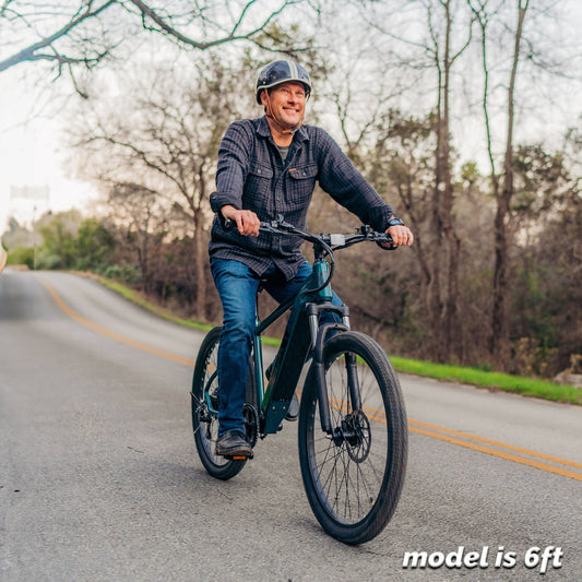 D1RT Electric Mountain Bike - Ride the Trails image 1