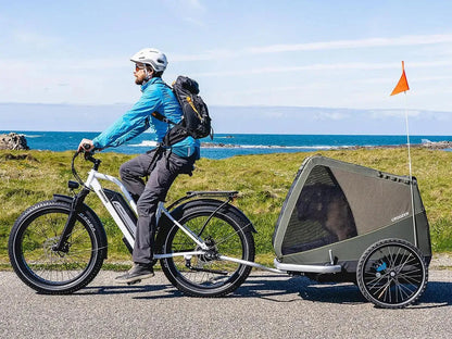 Himiway D3 ST All-Terrain Step-Thru Electric Bike 750W