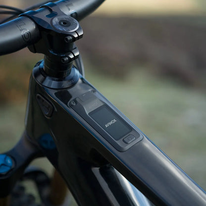 Amflow PL Carbon Electric Mountain Bike