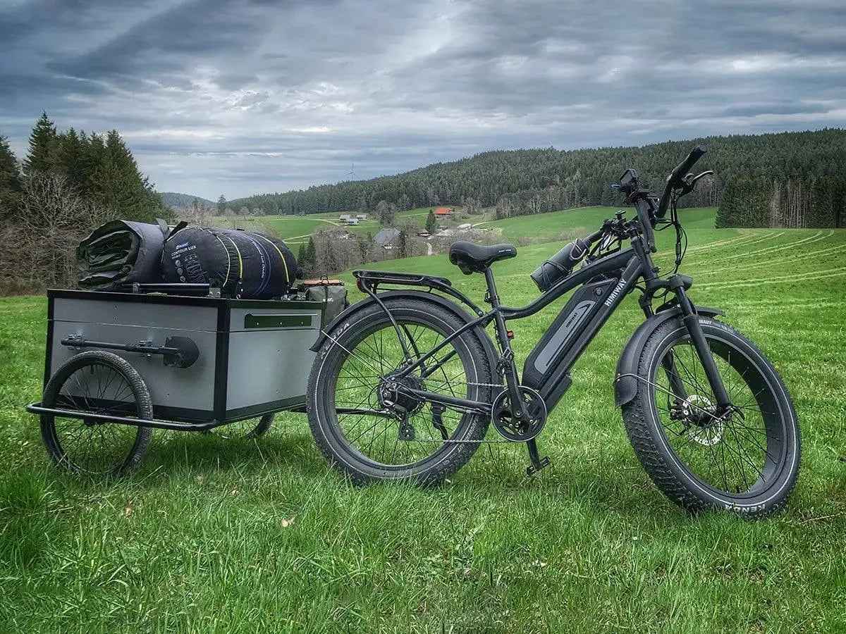 Himiway D3 Cruiser Electric Mountain Bike 750W Fat Tire