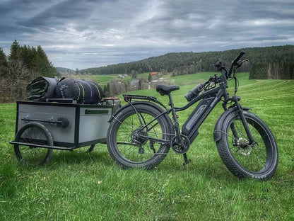 Himiway D3 Cruiser Electric Mountain Bike 750W Fat Tire