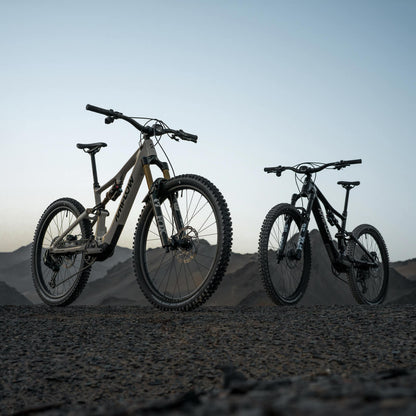 https://cdn.amflowbikes.com/tpc/uploads/carousel/image/ccc1a784b695c3388c55a64cc5761efd@ultra.jpg