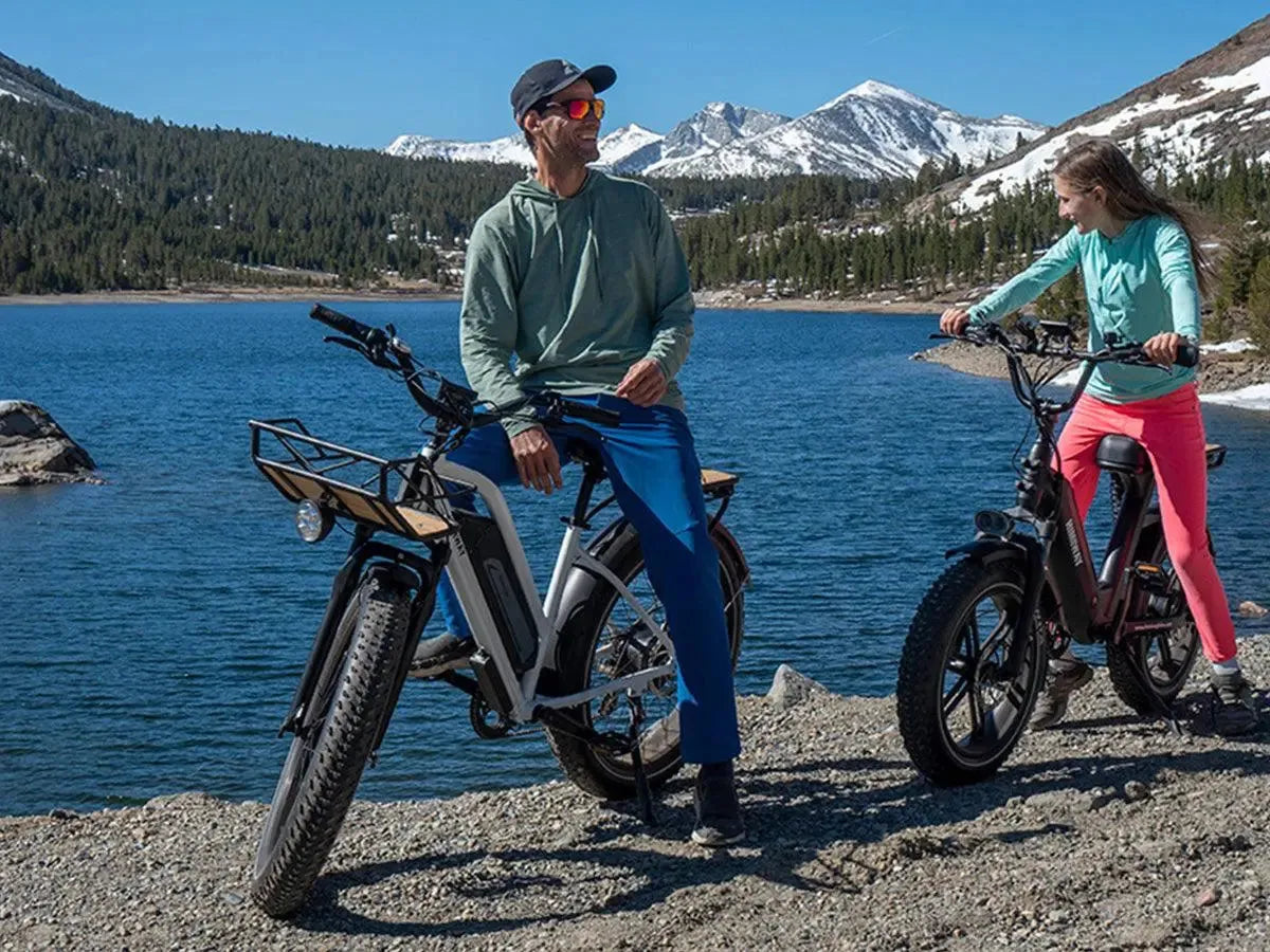 Himiway D3 ST All-Terrain Step-Thru Electric Bike 750W