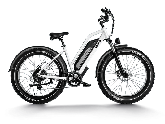 Himiway D3 ST All-Terrain Step-Thru Electric Bike 750W