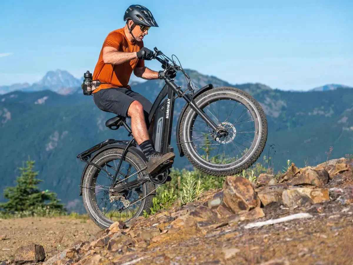 Himiway D3 Cruiser Electric Mountain Bike 750W Fat Tire