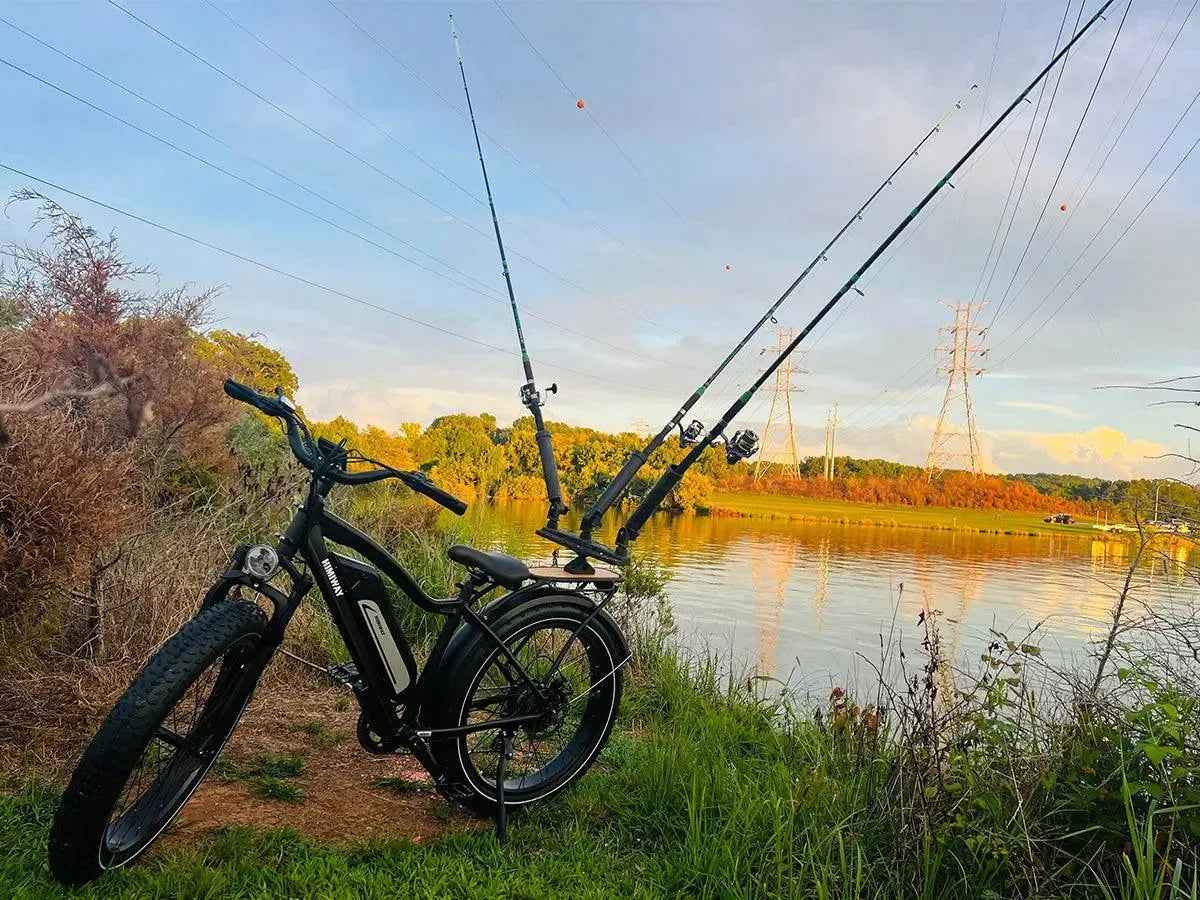 Himiway D3 Cruiser Electric Mountain Bike 750W Fat Tire