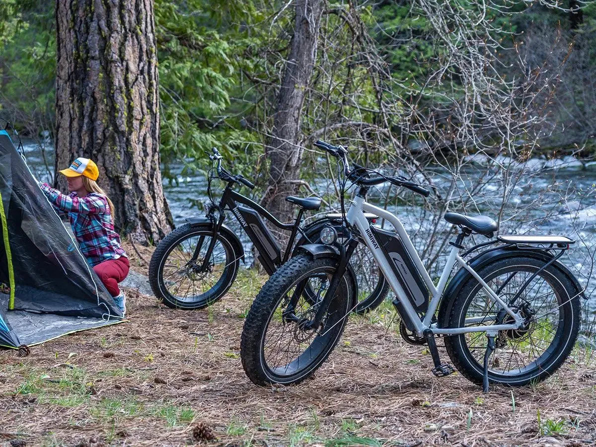 Himiway D3 ST All-Terrain Step-Thru Electric Bike 750W