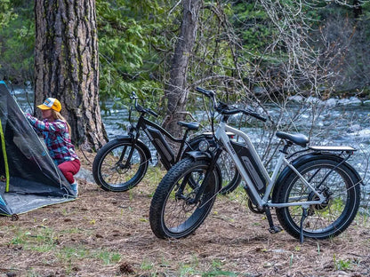 Himiway D3 ST All-Terrain Step-Thru Electric Bike 750W