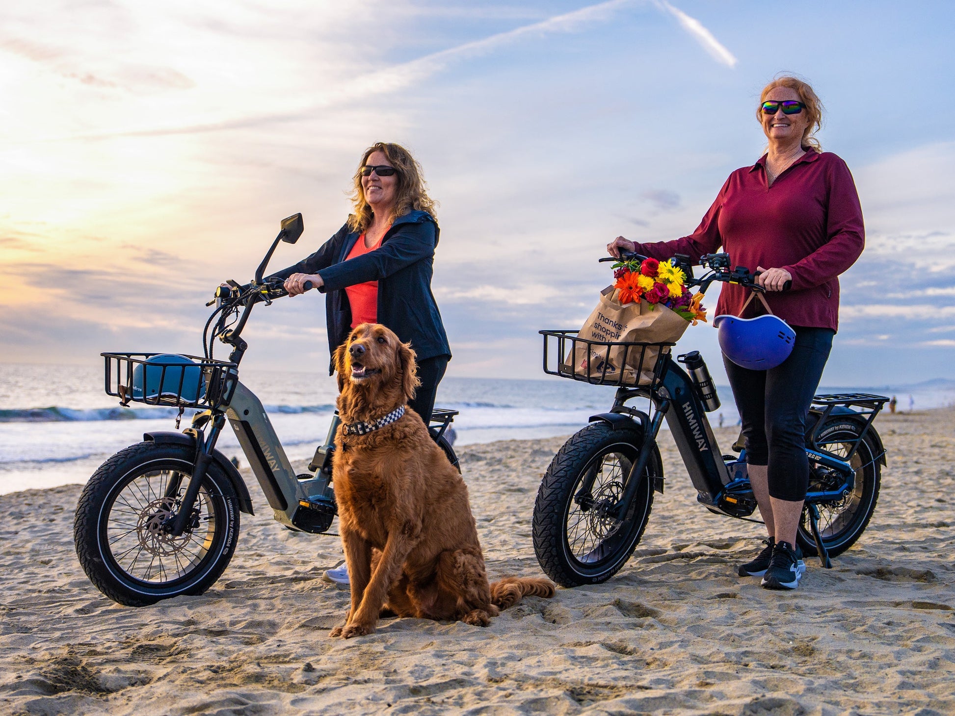 Himiway D5 2.0 20-Inch Full Suspension Electric Bike