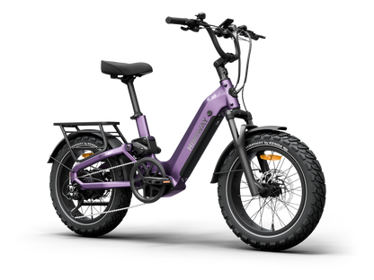 Himiway D5 2.0 20-Inch Full Suspension Electric Bike