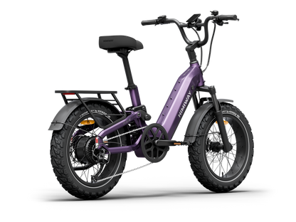 Himiway D5 2.0 20-Inch Full Suspension Electric Bike