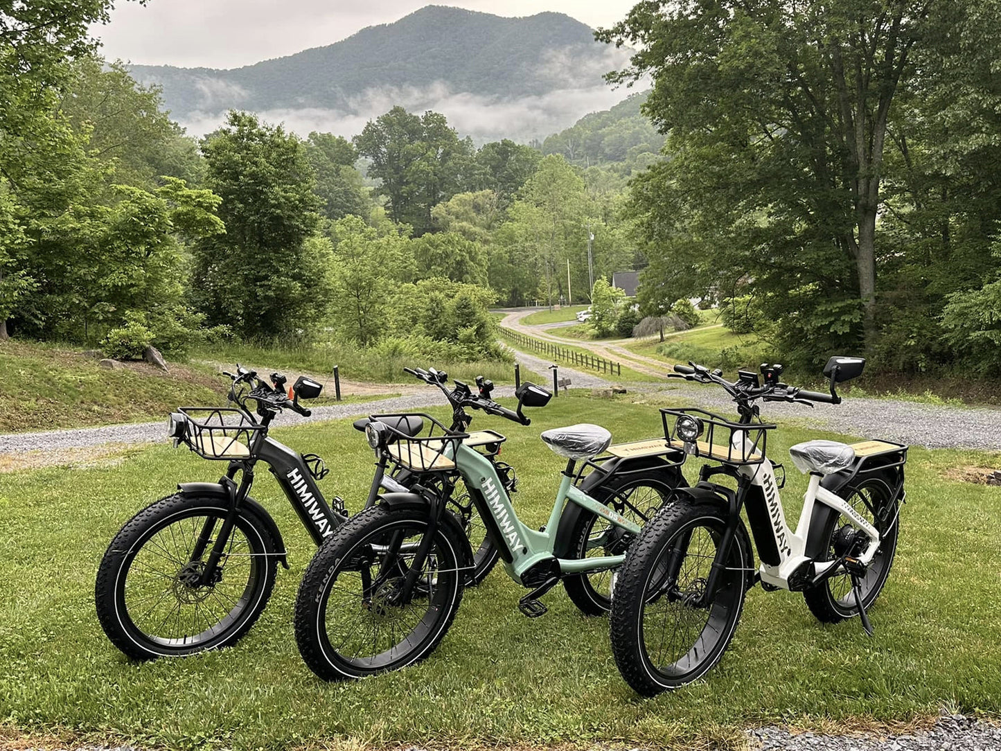 Himiway Zebra ST D5 Electric Fat Tire Mountain Bike 750W