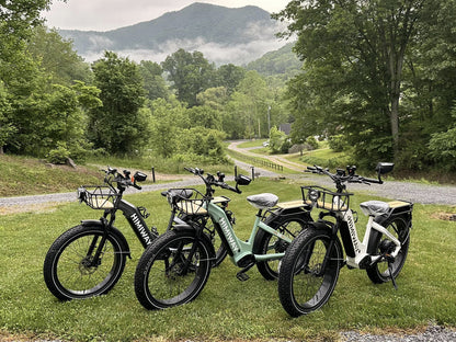 Himiway Zebra ST D5 Electric Fat Tire Mountain Bike 750W