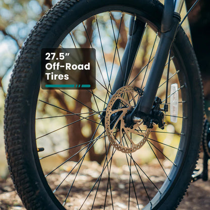D1RT Electric Mountain Bike - Ride the Trails image 13