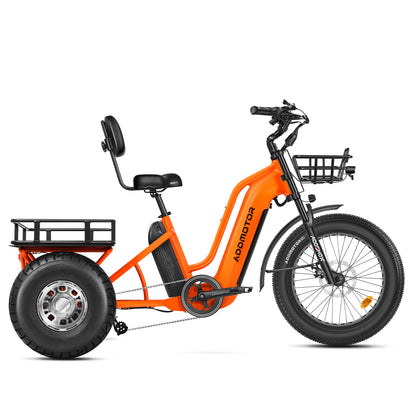 Addmotor Greattan D 750 Cargo Electric Trike
