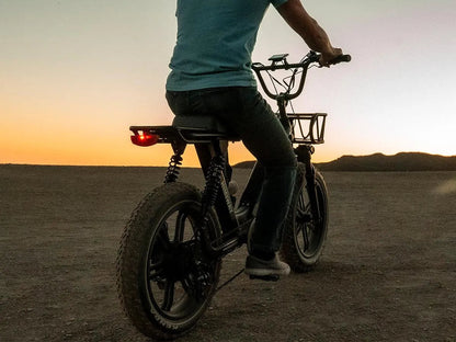Himiway Escape Pro Fat Tire Moped-Style Electric Bike 750W