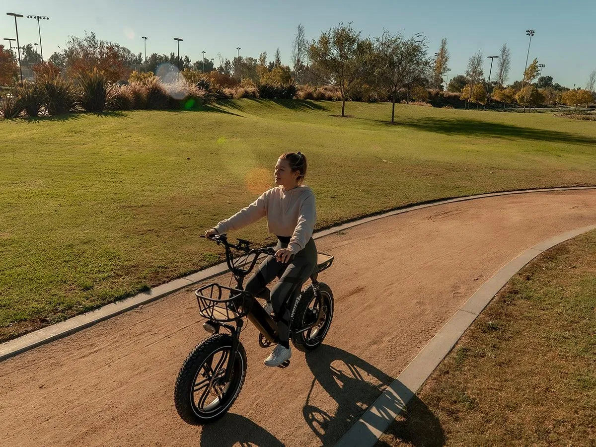 Himiway Escape Pro Fat Tire Moped-Style Electric Bike 750W