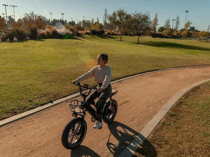 Himiway Escape Pro Fat Tire Moped-Style Electric Bike 750W