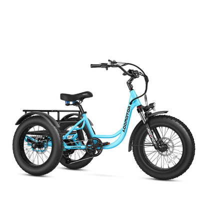 Addmotor Landtan M-300 750 Electric Trike