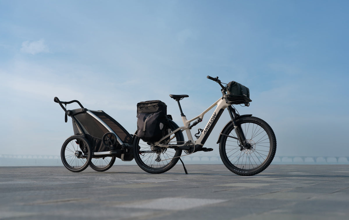 Amflow TL Carbon