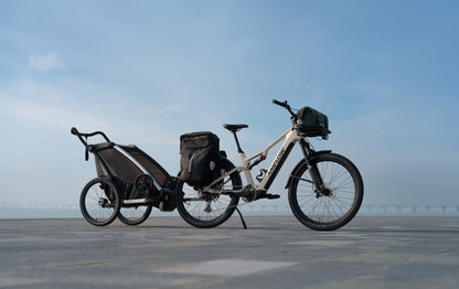 Amflow TL Carbon