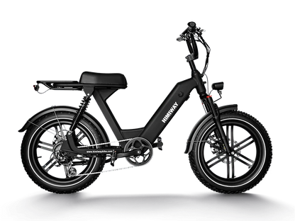 Himiway Escape Pro Fat Tire Moped-Style Electric Bike 750W