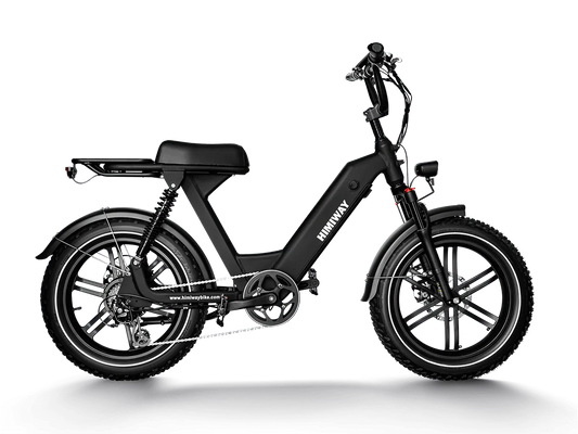 Himiway Escape Pro Fat Tire Moped-Style Electric Bike 750W