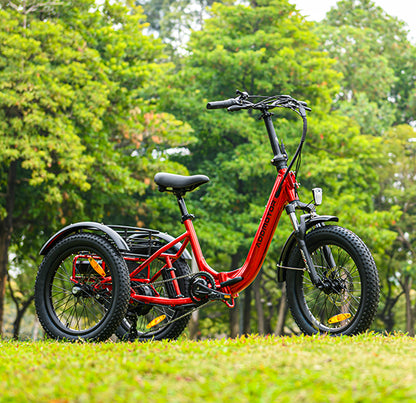 Addmotor Citytan M-315 Folding Electric Trike