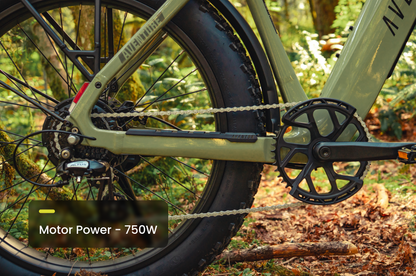 Aventon Aventure 3 Electric Fat Tire Bike 750W Regular Stealth