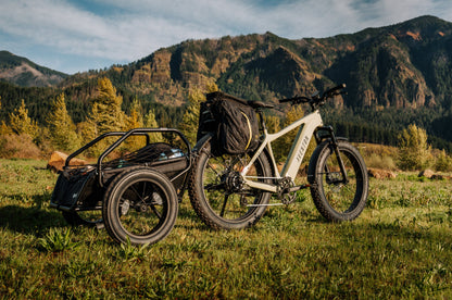 Aventon Aventure 3 Electric Fat Tire Bike 750W Regular Stealth