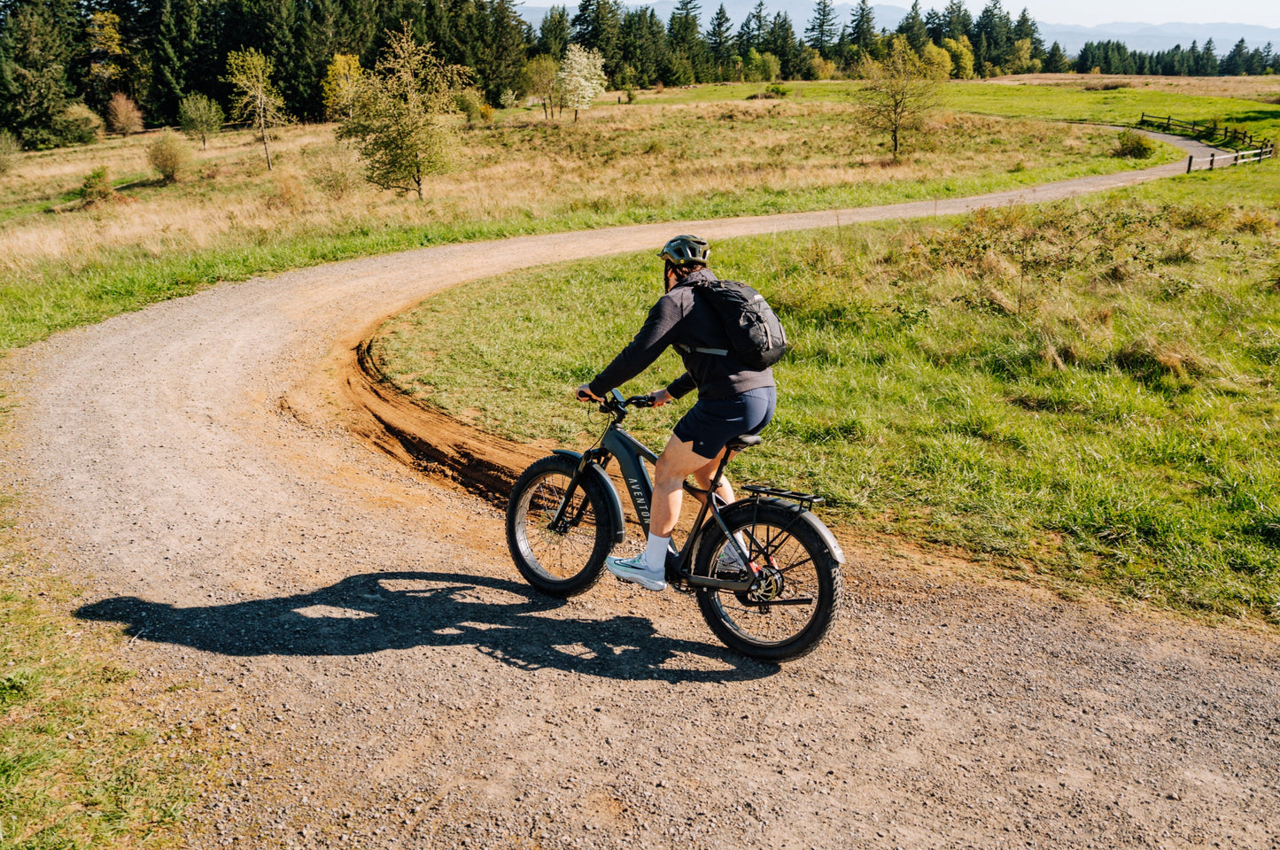 Aventon Aventure 3 Electric Fat Tire Bike 750W Regular Stealth