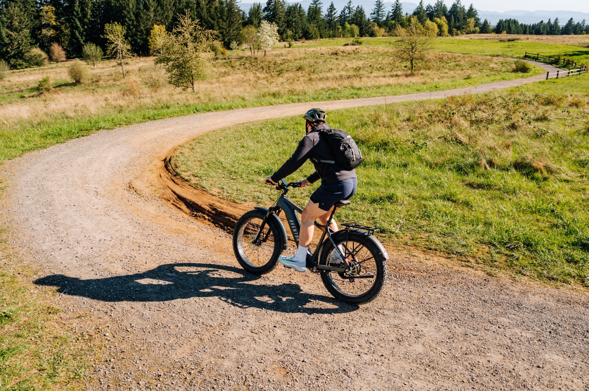 Aventon Aventure 3 Electric Fat Tire Bike 750W Regular Stealth