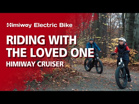 Himiway D3 ST All-Terrain Step-Thru Electric Bike 750W
