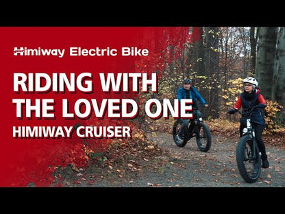 Himiway D3 ST All-Terrain Step-Thru Electric Bike 750W
